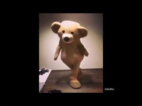 dancing bear hd|Dancing Bear Video Footage – Browse 2,942 HD Stock Video。